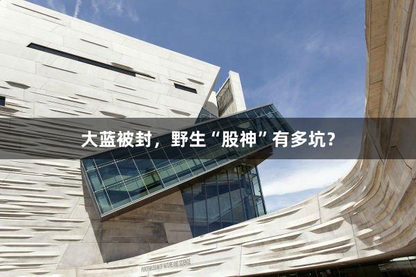 大蓝被封，野生“股神”有多坑？