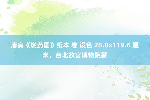唐寅《烧药图》纸本 卷 设色 28.8x119.6 厘米，台北故宫博物院藏