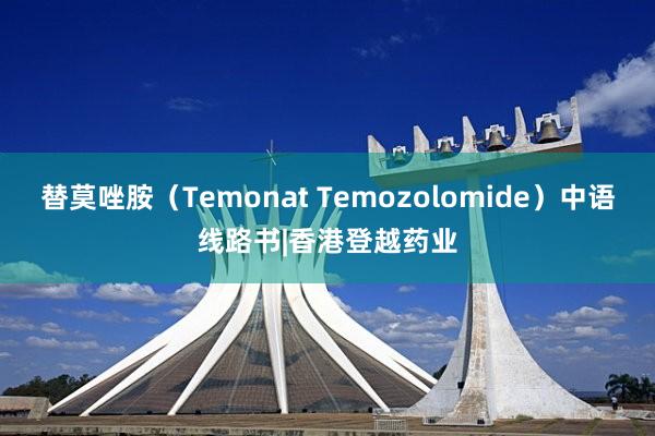 替莫唑胺（Temonat Temozolomide）中语线路书|香港登越药业