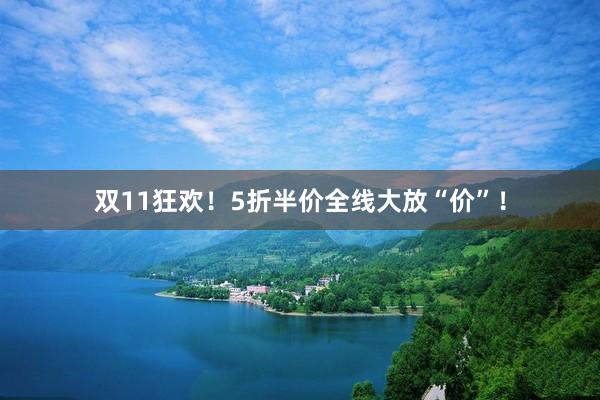 双11狂欢！5折半价全线大放“价”！