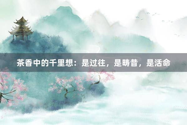 茶香中的千里想：是过往，是畴昔，是活命