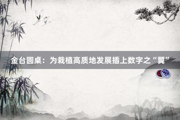 金台圆桌：为栽植高质地发展插上数字之“翼”