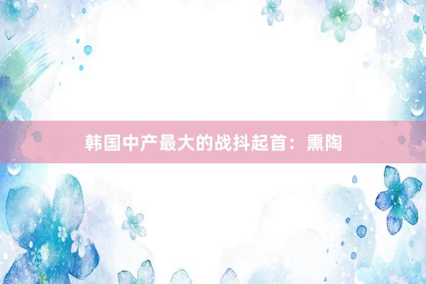 韩国中产最大的战抖起首：熏陶