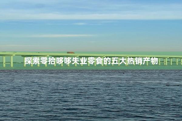 探索零拾哆哆失业零食的五大热销产物