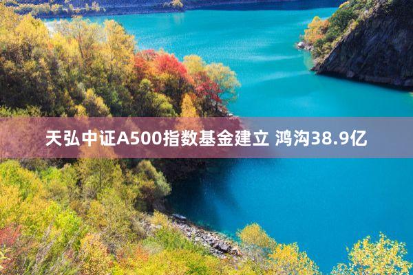 天弘中证A500指数基金建立 鸿沟38.9亿
