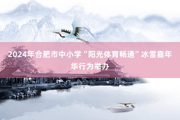 2024年合肥市中小学“阳光体育畅通”冰雪嘉年华行为举办