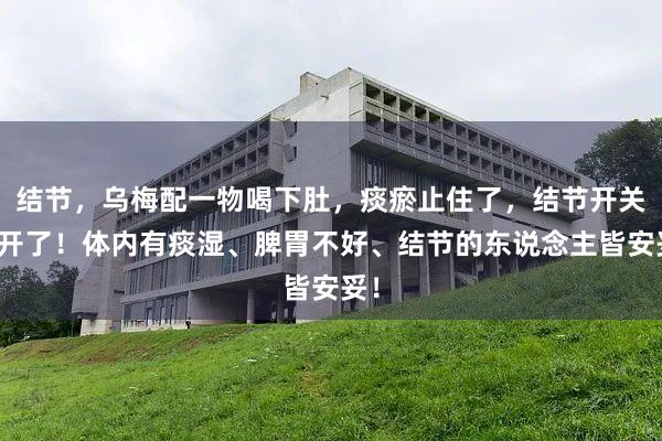 结节，乌梅配一物喝下肚，痰瘀止住了，结节开关盛开了！体内有痰湿、脾胃不好、结节的东说念主皆安妥！