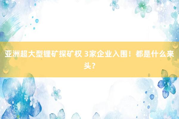 亚洲超大型锂矿探矿权 3家企业入围！都是什么来头？