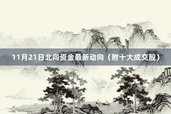 11月21日北向资金最新动向（附十大成交股）