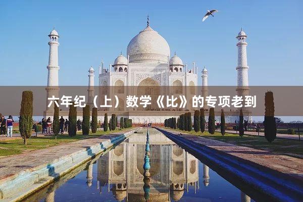六年纪（上）数学《比》的专项老到