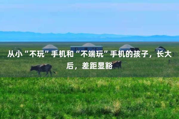 从小“不玩”手机和“不端玩”手机的孩子，长大后，差距显豁