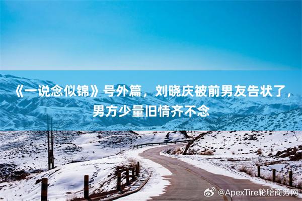 《一说念似锦》号外篇，刘晓庆被前男友告状了，男方少量旧情齐不念