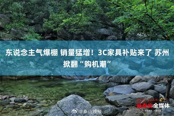 东说念主气爆棚 销量猛增！3C家具补贴来了 苏州掀翻“购机潮”
