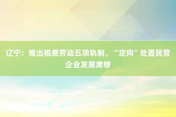 辽宁：推出税费劳动五项轨制，“定向”处置民营企业发展肃穆