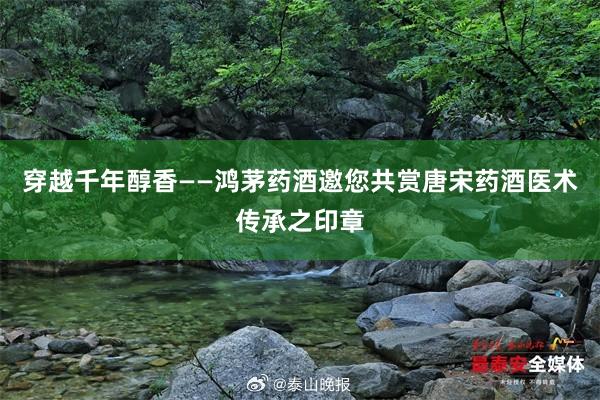 穿越千年醇香——鸿茅药酒邀您共赏唐宋药酒医术传承之印章