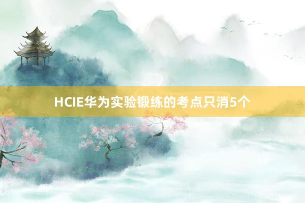 HCIE华为实验锻练的考点只消5个