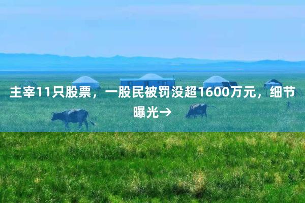 主宰11只股票，一股民被罚没超1600万元，细节曝光→